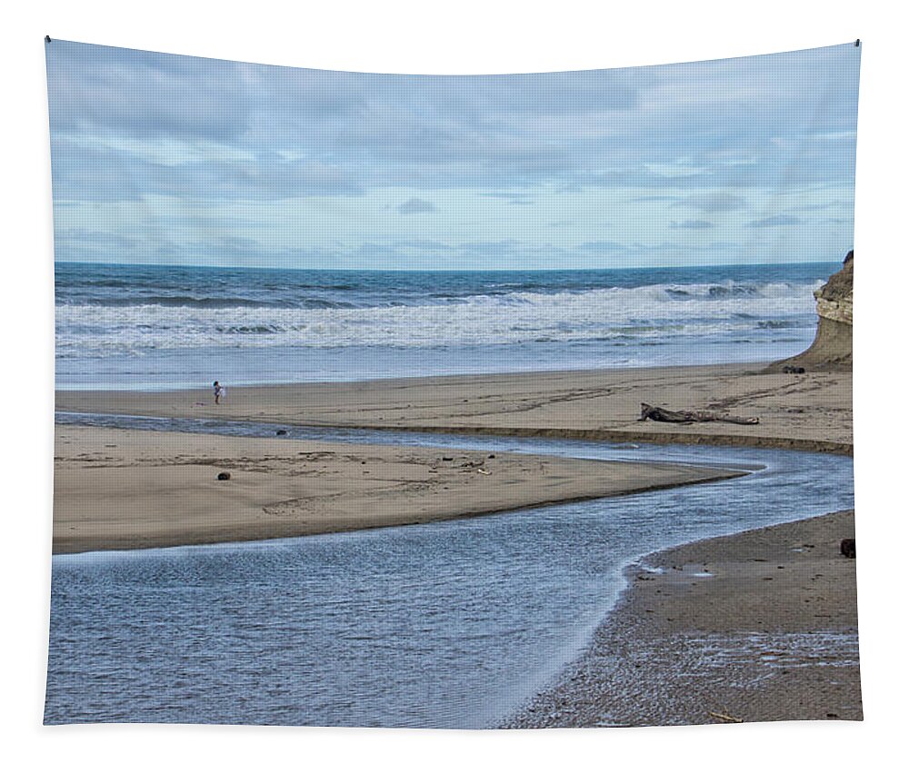Pch Tapestry featuring the photograph Solitude by Weir Here And There