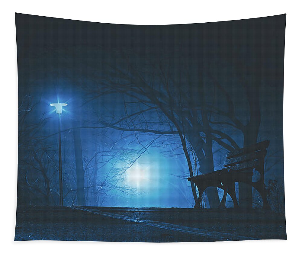 Night Tapestry featuring the photograph Solitude by Mountain Dreams