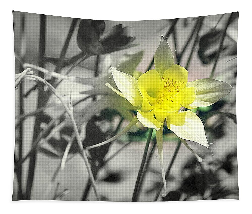 Columbine Tapestry featuring the photograph Solo by Clarice Lakota