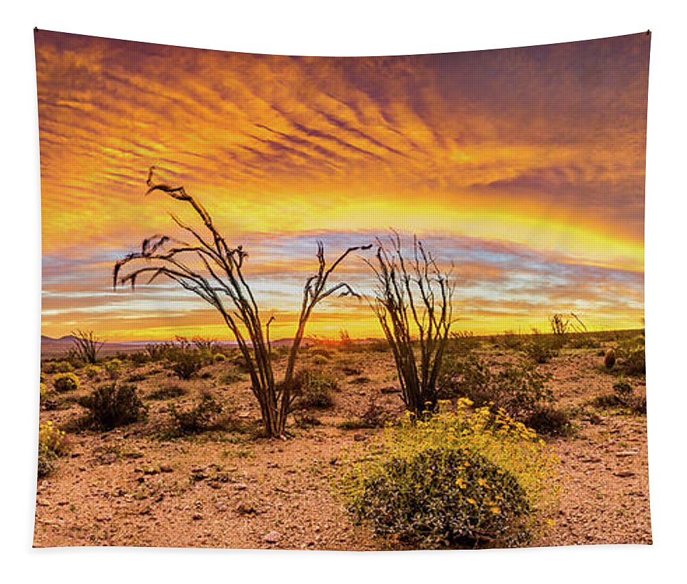 Anza-borrego Desert Tapestry featuring the photograph Somewhere Over by Peter Tellone