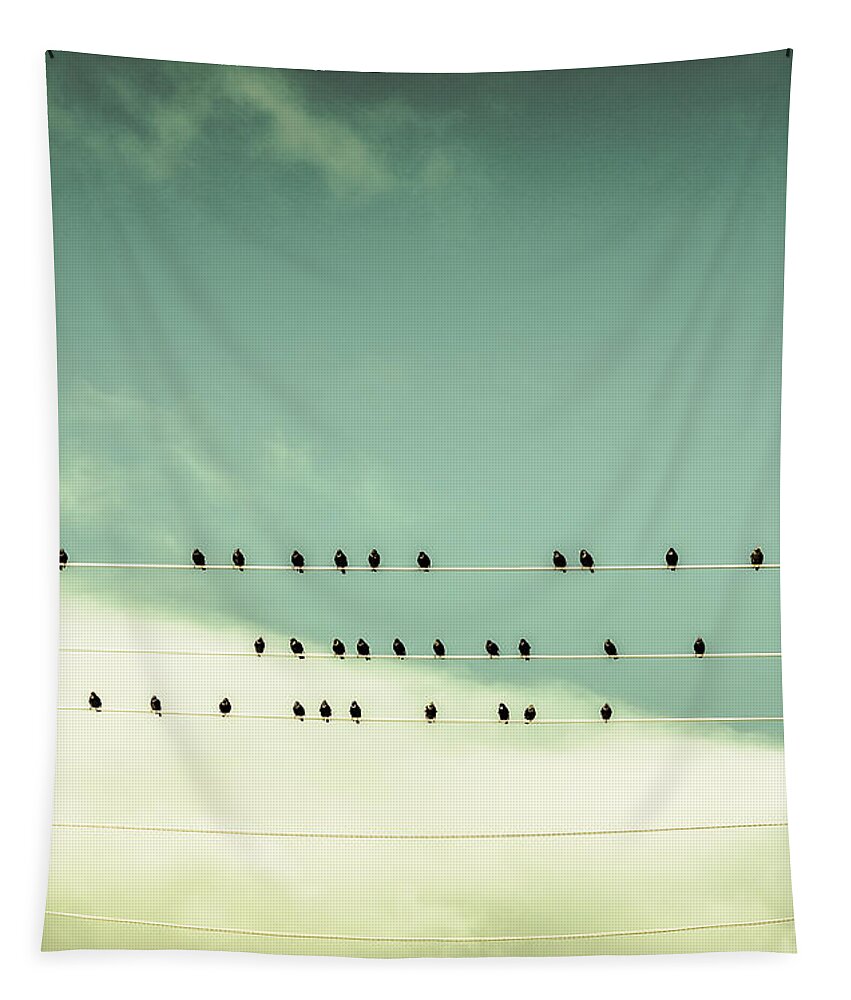 Birds Tapestry featuring the photograph Song birds on five lined staff by Jorgo Photography