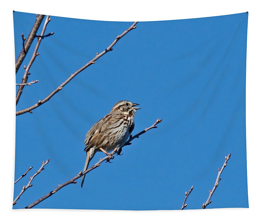 Bird Tapestry featuring the photograph Song Sparrow by Michael Peychich