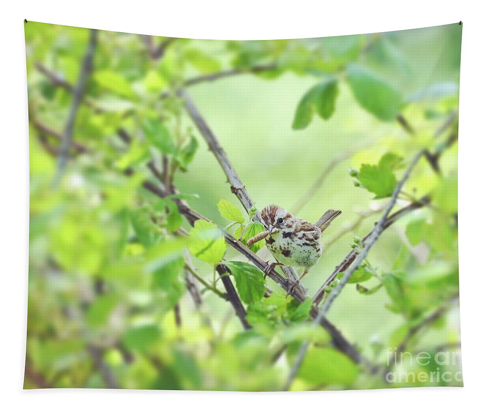 Song Sparrow Tapestry featuring the photograph Song Sparrow with Dinner by Kerri Farley
