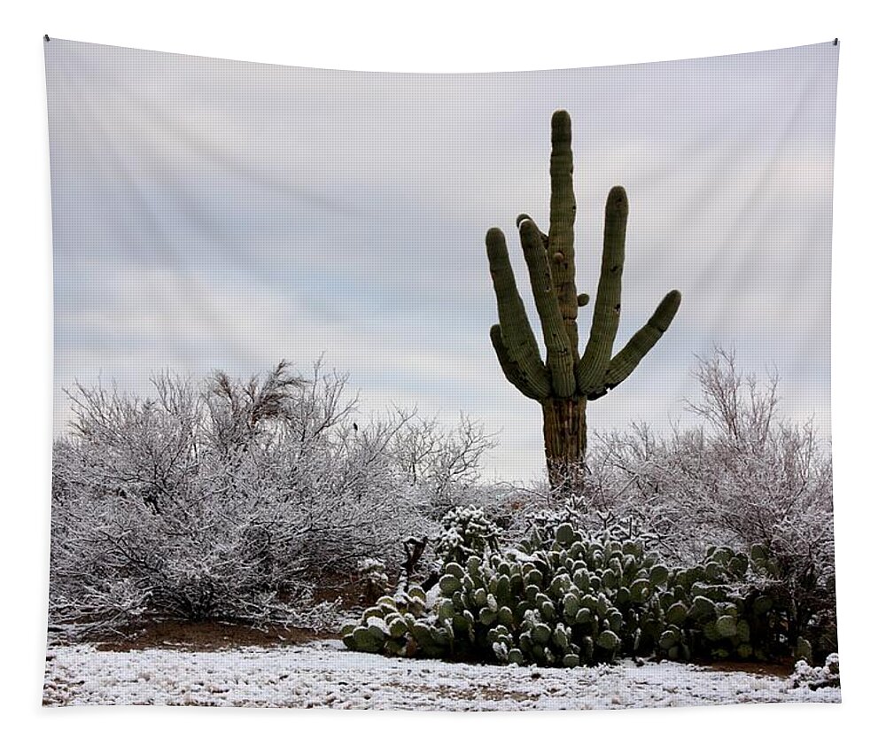 Saguaro Tapestry featuring the photograph Sonora Desert Winter by Joe Kozlowski