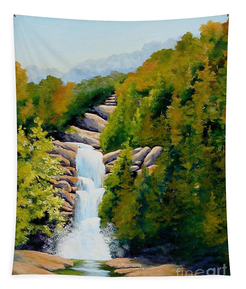 South Carolina Tapestry featuring the painting South Carolina Waterfall by Jerry Walker