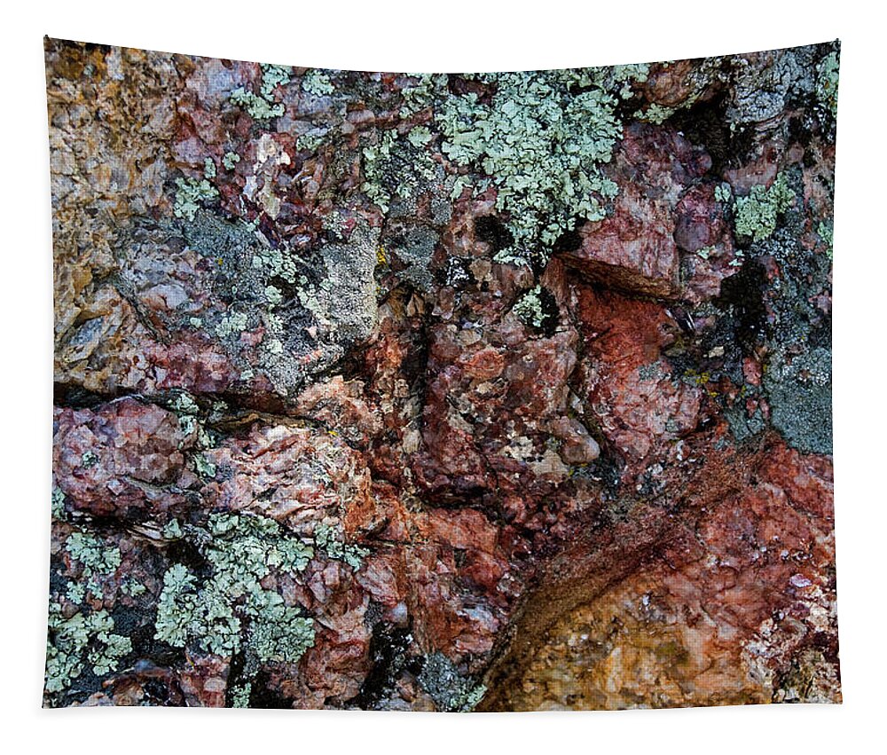 Lichen Tapestry featuring the photograph South Dakota Lichen by Ira Marcus