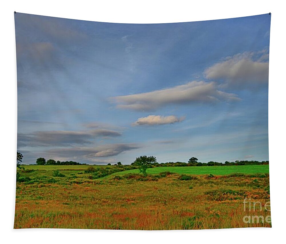 Landscape Tapestry featuring the photograph Southbury by Dani McEvoy