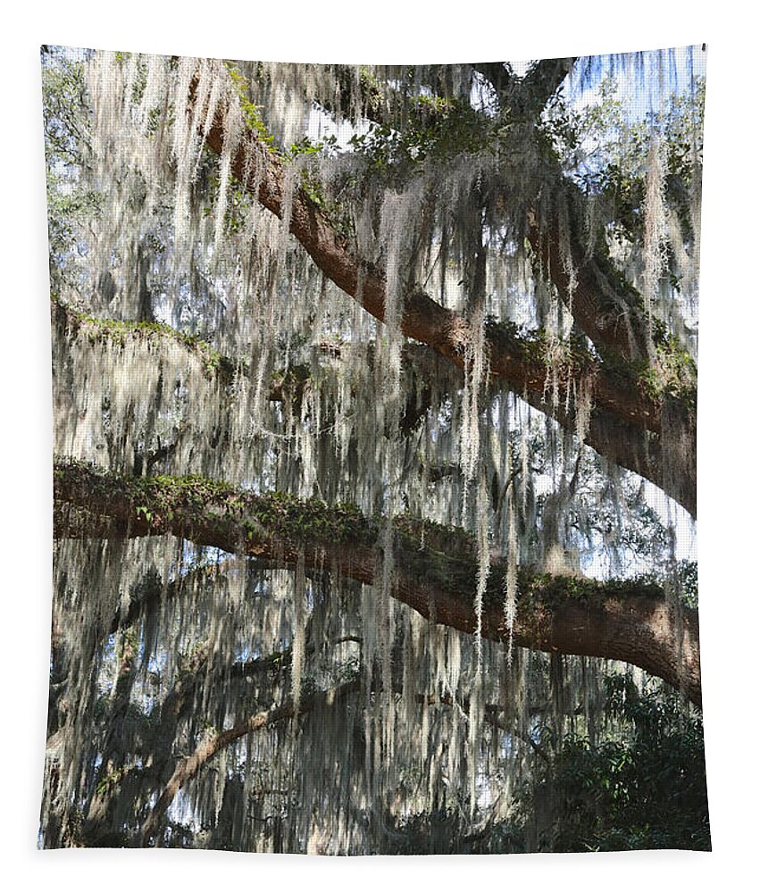 Spanish Moss Tapestry featuring the photograph Southern Lace by Carol Groenen