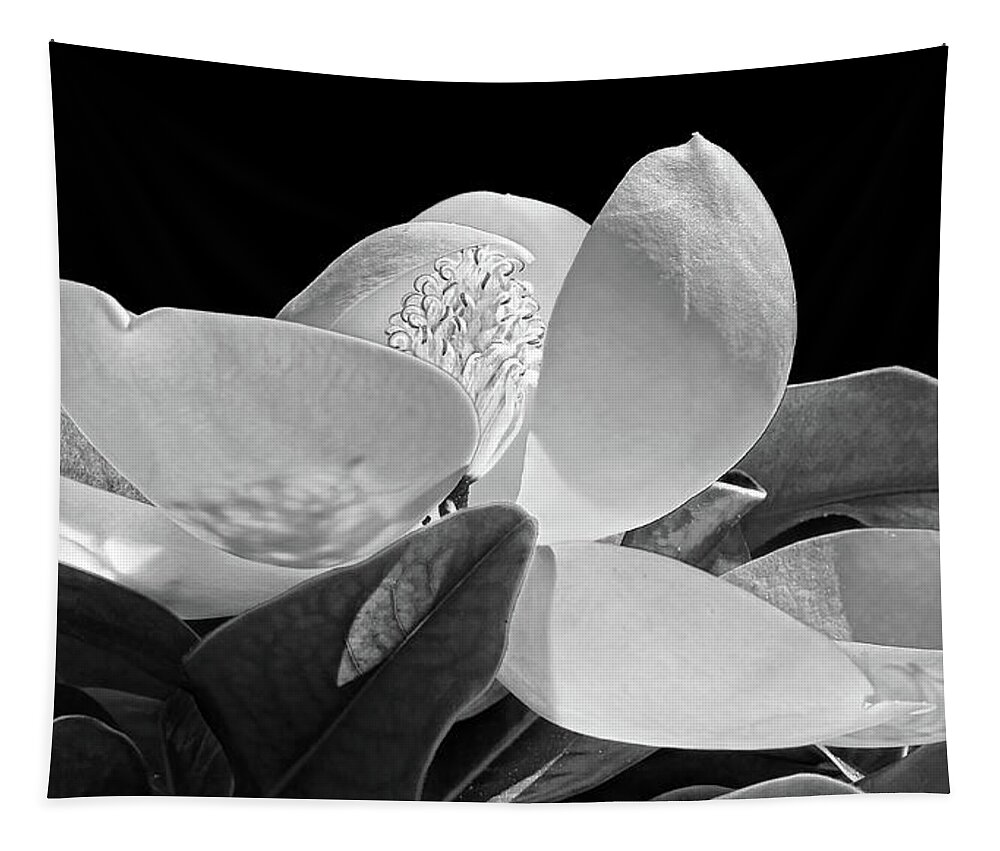 Magnolia Tapestry featuring the photograph Southern Lady - Magnolia Grandiflora by HH Photography of Florida