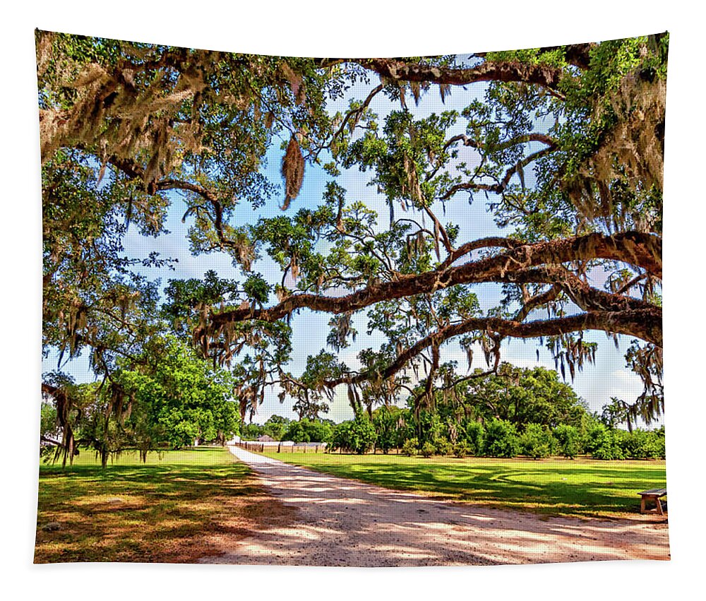 Nola Tapestry featuring the photograph Southern Serenity by Steve Harrington