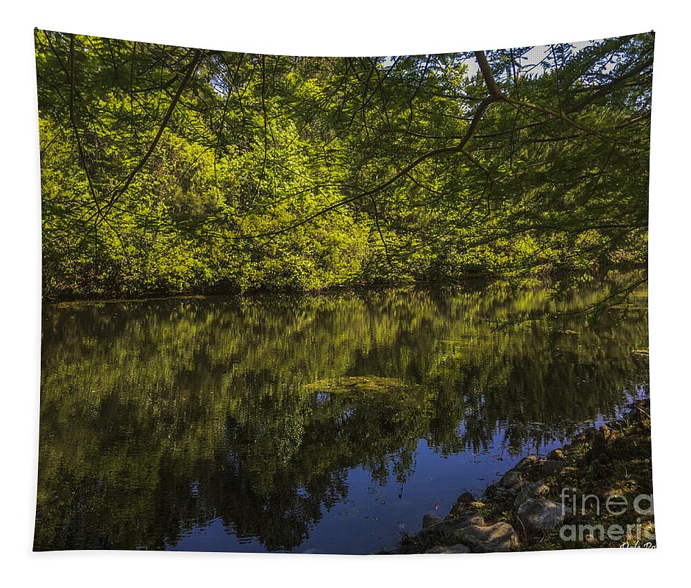 Pond Tapestry featuring the photograph Southern Still Waters by Dale Powell