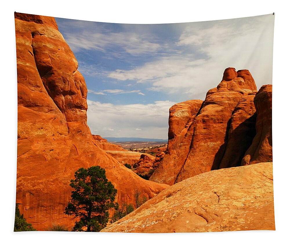 Arches National Park Tapestry featuring the photograph Southwestern beauty by Jeff Swan
