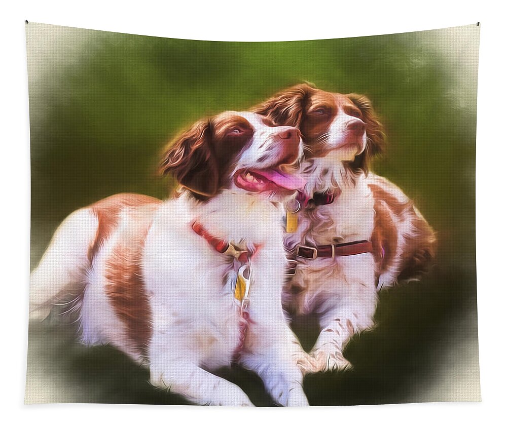 Spaniels Tapestry featuring the photograph Spaniels by Eleanor Abramson