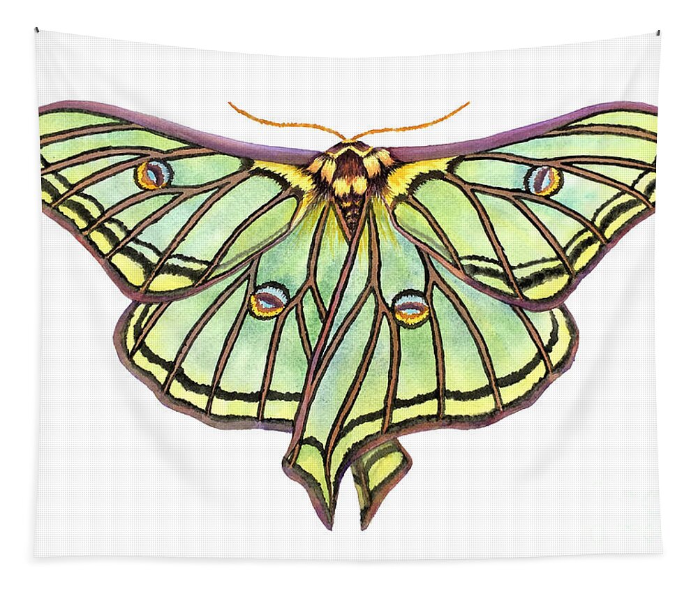 Spanish Moon Moth Tapestry featuring the painting Spanish Moon Moth by Lucy Arnold