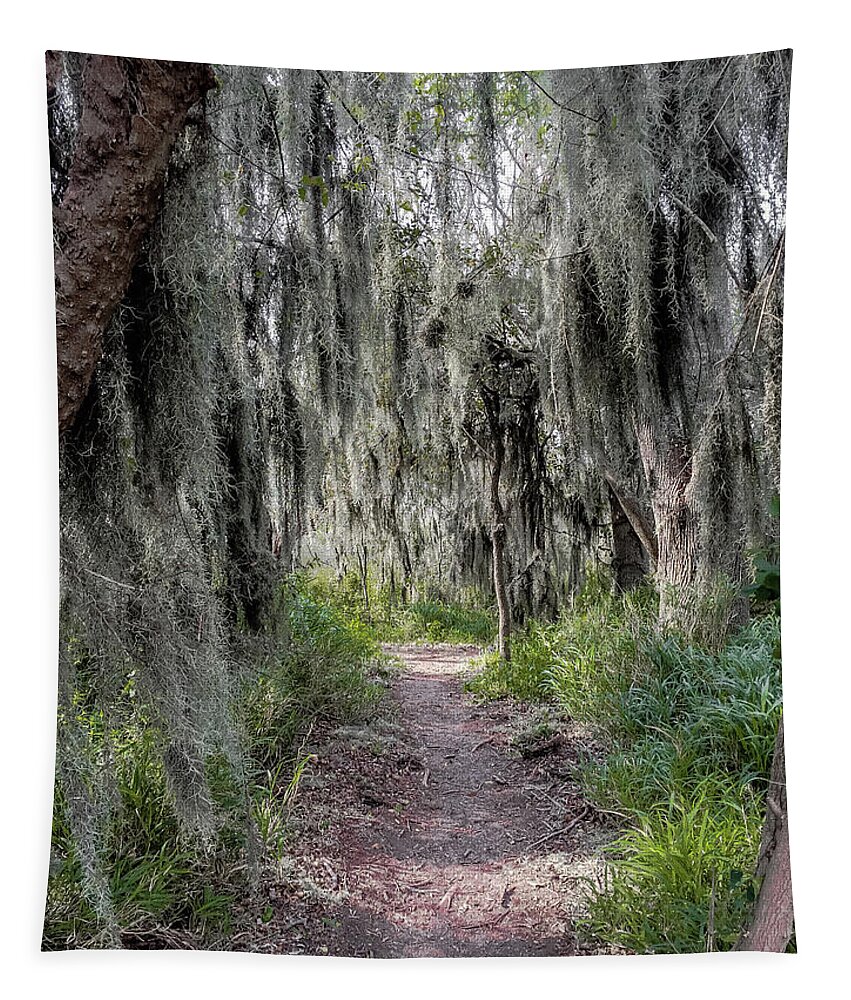 Debra Martz Tapestry featuring the photograph Spanish Moss Draped Trail by Debra Martz