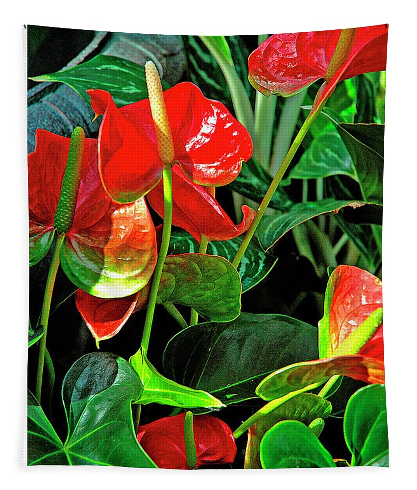 Spathiphyllum Flower Tapestry featuring the photograph Spathiphyllum Flowers Peace Lily by A Macarthur Gurmankin