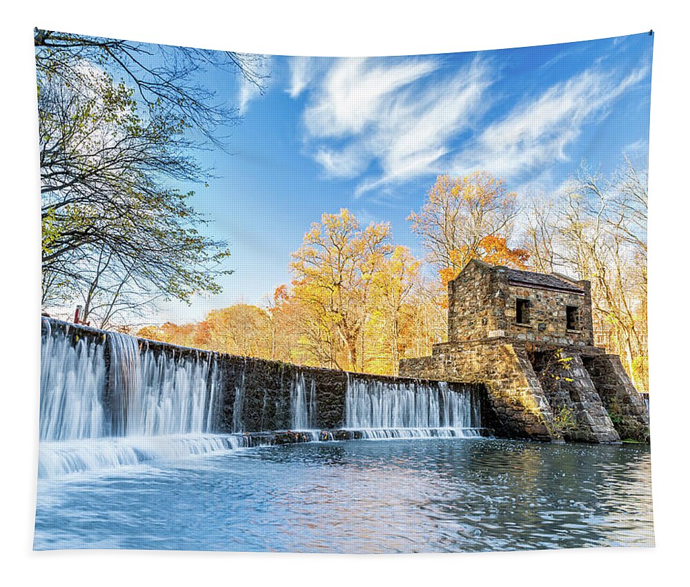 Afternoon Tapestry featuring the photograph Speedwell dam waterfall by Mihai Andritoiu