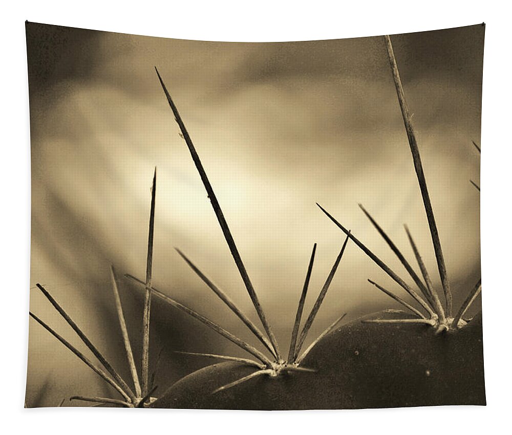Cactus Tapestry featuring the photograph Spiked by Melanie Moraga