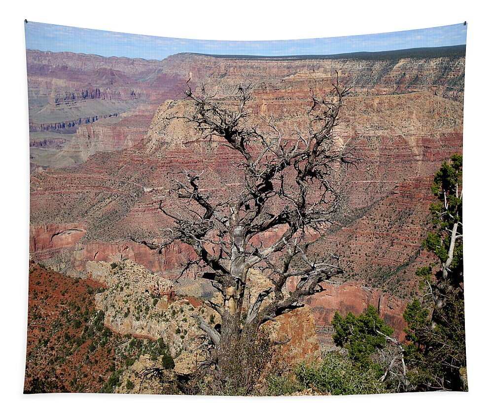 Spiritual Great Canyon Tapestry featuring the photograph Spiritual Great Canyon by Yuri Tomashevi
