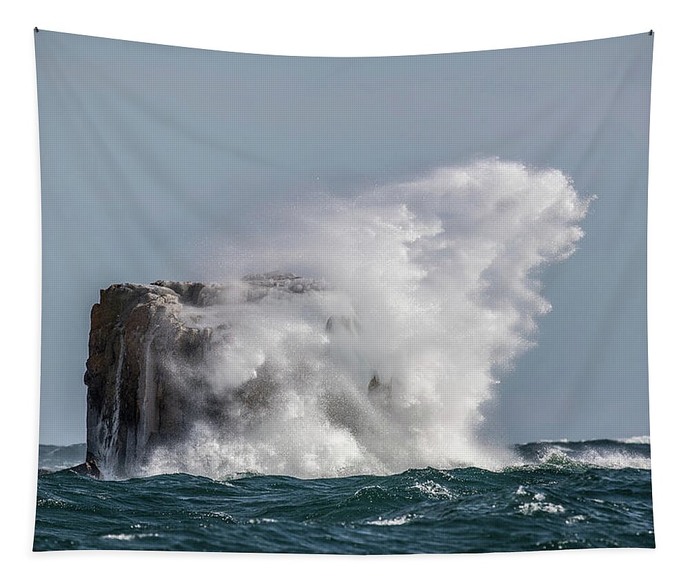  Tapestry featuring the photograph Splash by Paul Freidlund
