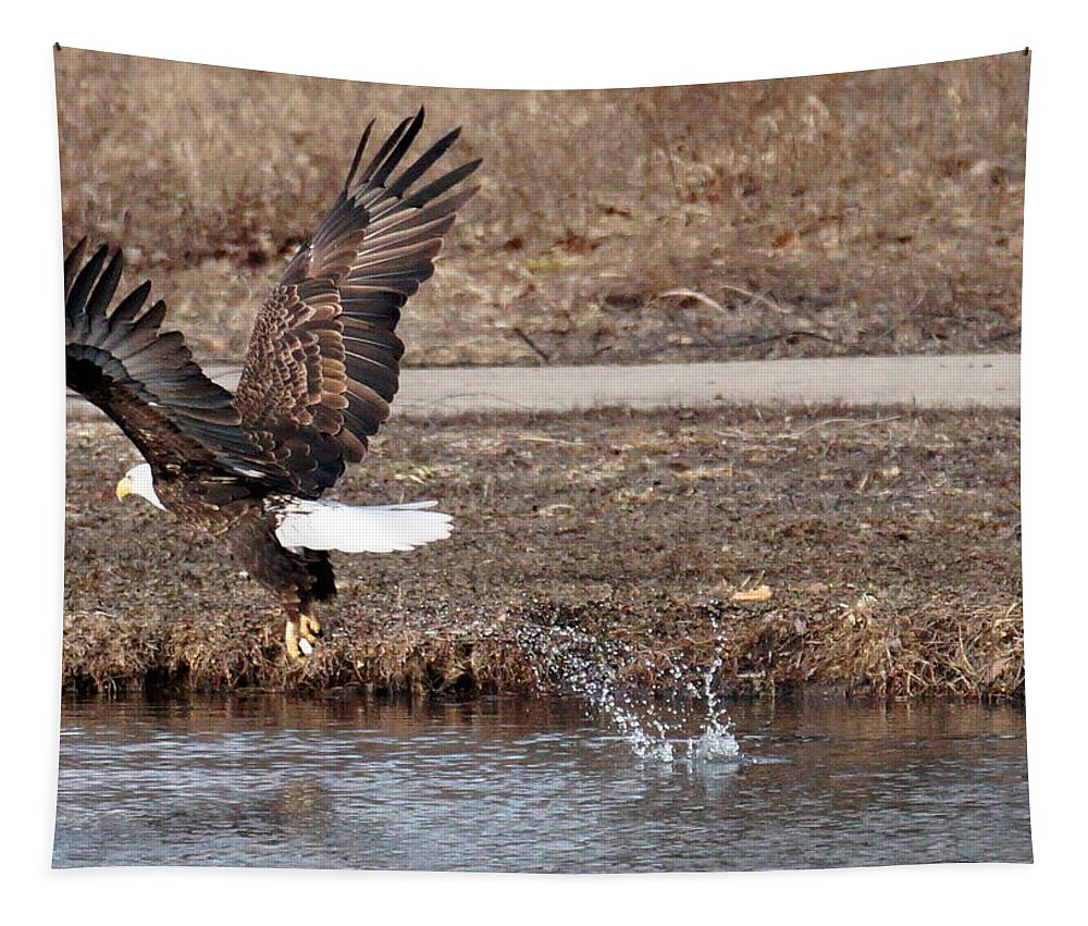 Eagle Tapestry featuring the photograph Splashdown by Beth Collins