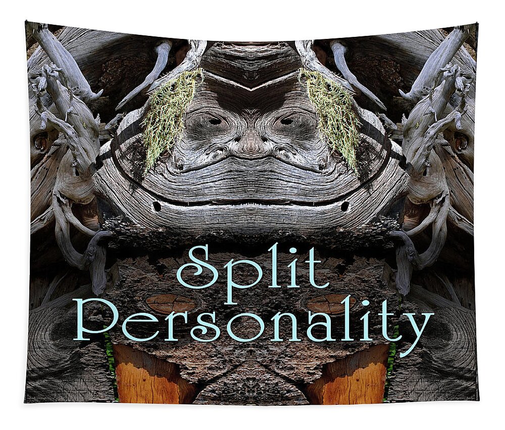 Sign Tapestry featuring the digital art Split Personality by Becky Titus