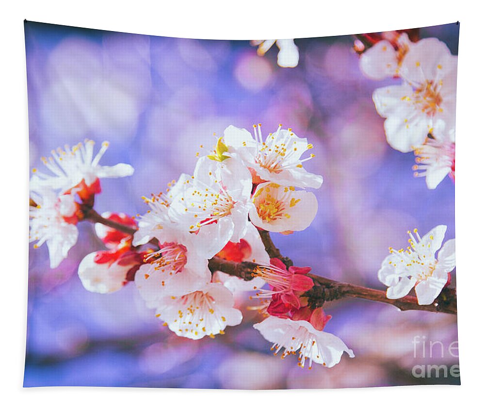 Cherry Blossom Tapestry featuring the photograph Spring Arrives by Becqi Sherman