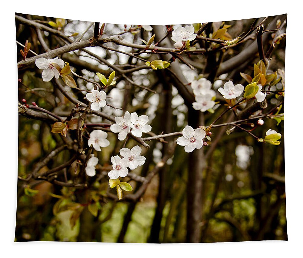 Bare Tapestry featuring the photograph Spring bloom. by Elena Perelman
