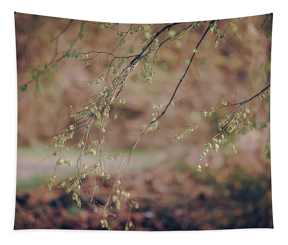 Spring Tapestry featuring the photograph Spring Buds by Amber Flowers