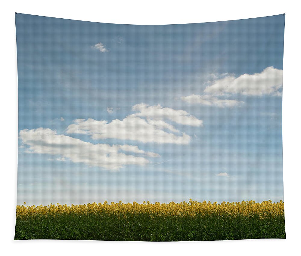Helen Northcott Tapestry featuring the photograph Spring Day Clouds by Helen Jackson