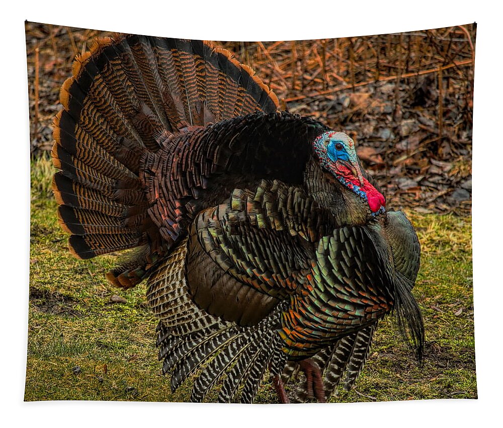 Wild Turkey Tapestry featuring the photograph Spring Gobbler by Dale Kauzlaric
