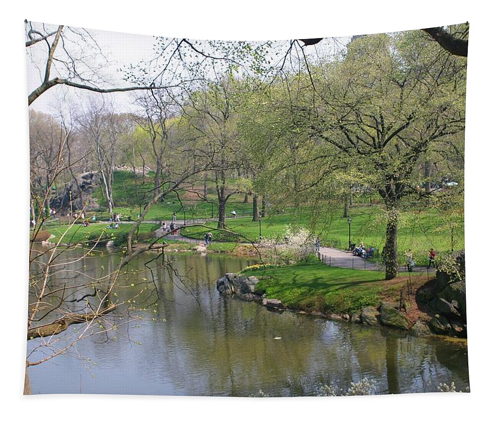Central Park Tapestry featuring the photograph Spring In Central Park by Living Color Photography Lorraine Lynch