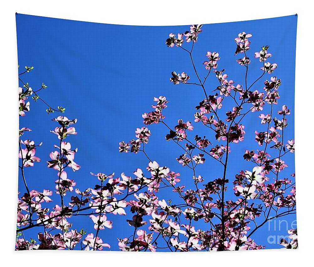 Springtime Tapestry featuring the photograph Spring in Louisville by Merle Grenz