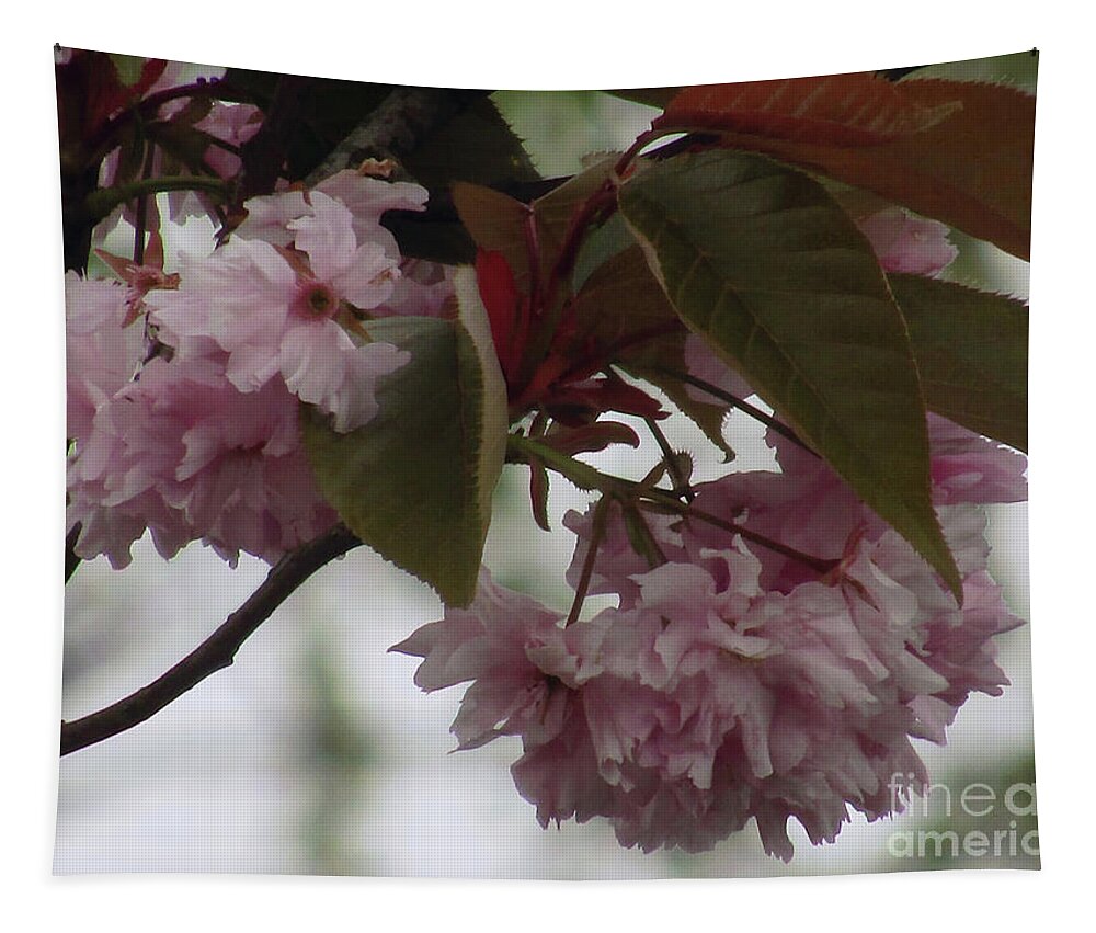 Cherry Blossoms Tapestry featuring the photograph Spring In Pink 2 by Kim Tran