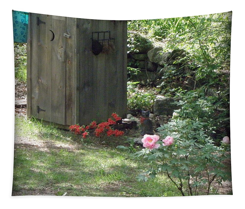 Outhouse Tapestry featuring the photograph Spring in the country by Kim Galluzzo