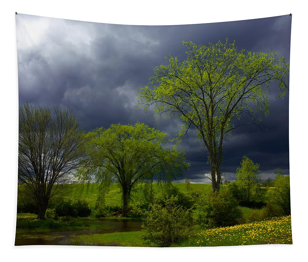 Spring Tapestry featuring the photograph Spring Meadow Storm Light by Irwin Barrett