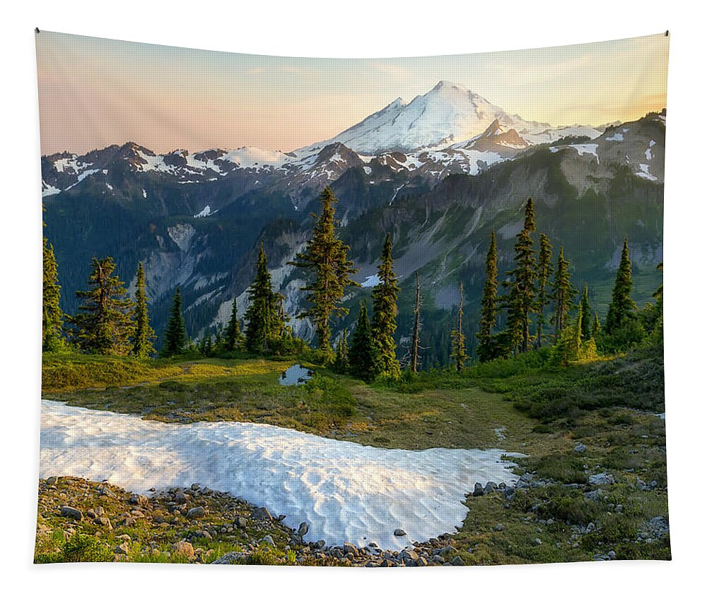 Mount Baker Tapestry featuring the photograph Spring Melt by Ryan Manuel