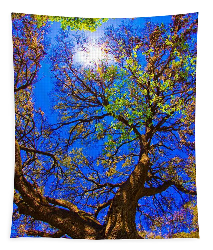 Michael Tidwell Photography Tapestry featuring the photograph Spring Oak by Michael Tidwell