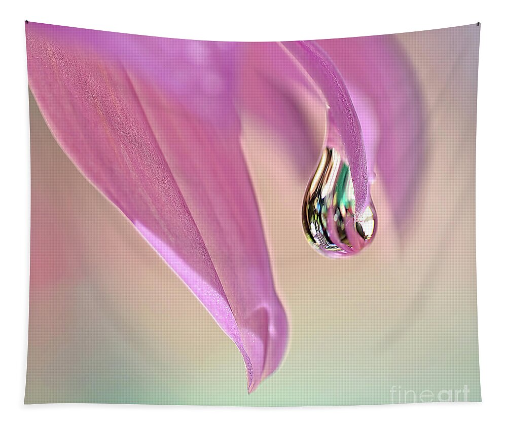 Spring Raindrop Tapestry featuring the photograph Spring Raindrop by Kaye Menner by Kaye Menner