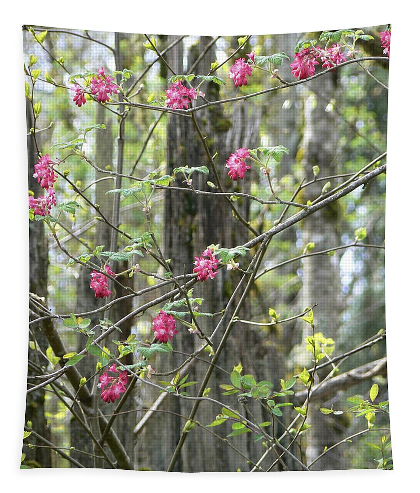 Tree Tapestry featuring the photograph Spring Renewal by Pamela Patch