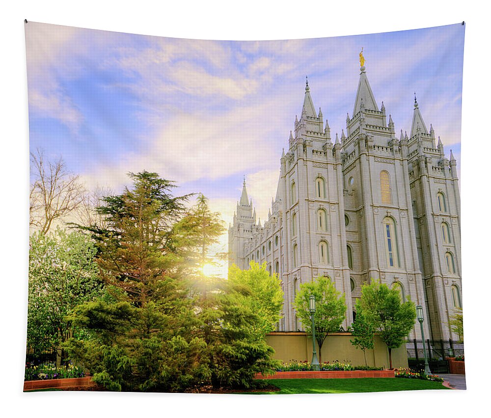 Salt Lake Tapestry featuring the photograph Spring Rest by Chad Dutson
