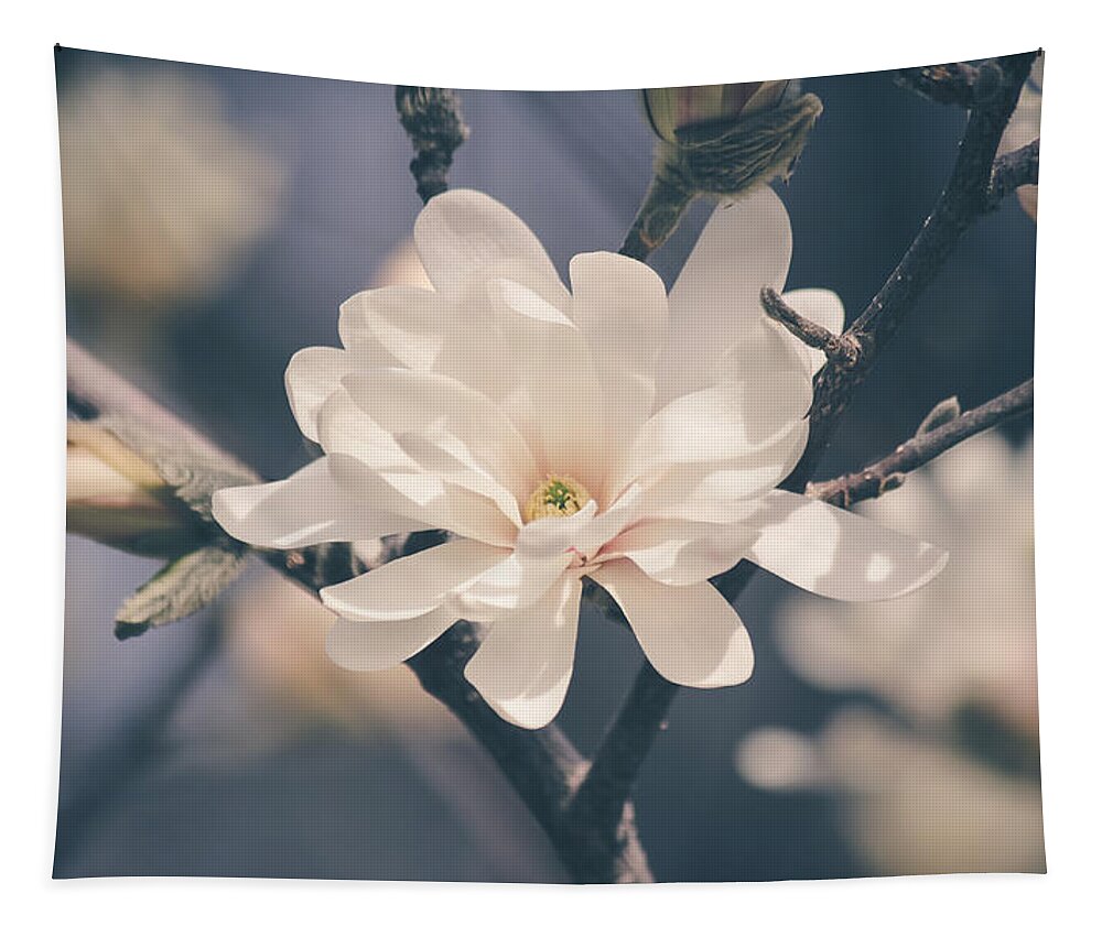 Spring Tapestry featuring the photograph Spring Sonnet by Viviana Nadowski