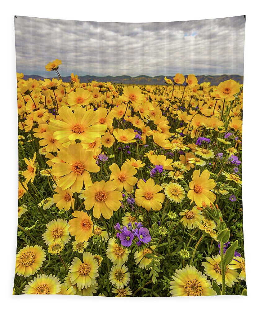 Blm Tapestry featuring the photograph Spring Super Bloom by Peter Tellone