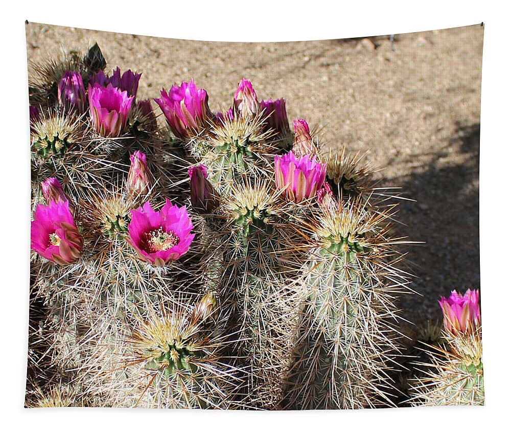 Flowers Tapestry featuring the photograph Springtime In The Desert by Lorraine Baum