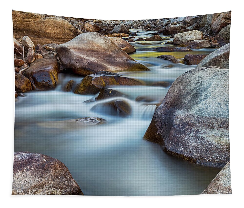Stream Tapestry featuring the photograph St Vrain Streaming by James BO Insogna