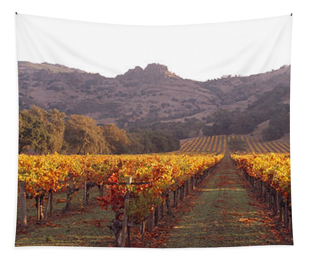 Photography Tapestry featuring the photograph Stags Leap Wine Cellars Napa by Panoramic Images