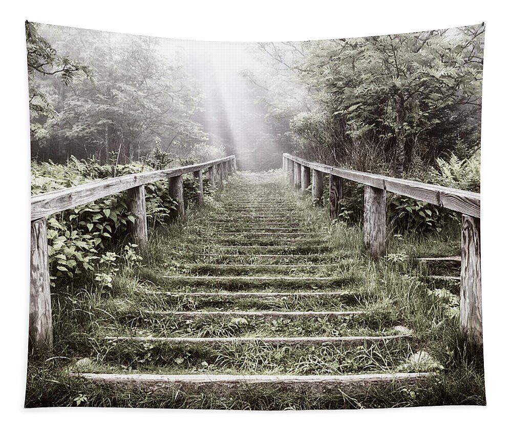 Appalachia Tapestry featuring the photograph Stairway to Heaven's Door by Debra and Dave Vanderlaan