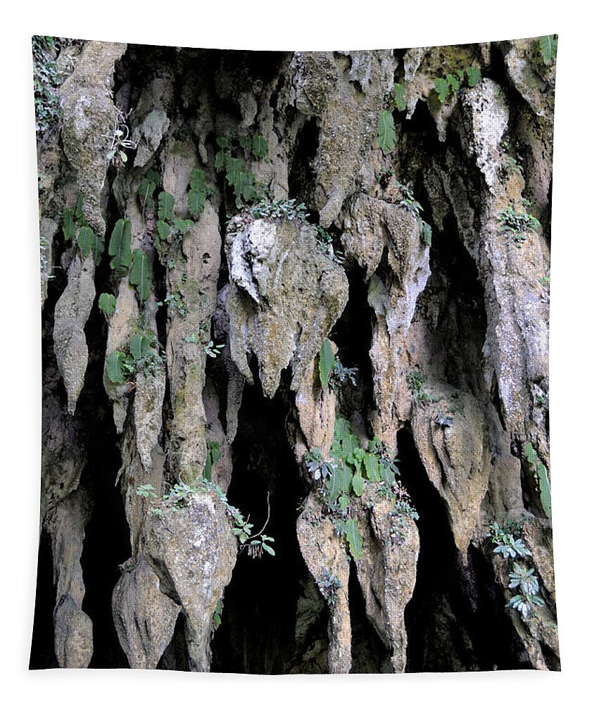 Flora Tapestry featuring the photograph Stalactites In Clearwater Cave by Fletcher & Baylis