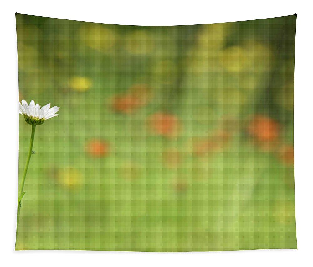 Daisy Tapestry featuring the photograph Stands Out by Himself by Kathy Paynter