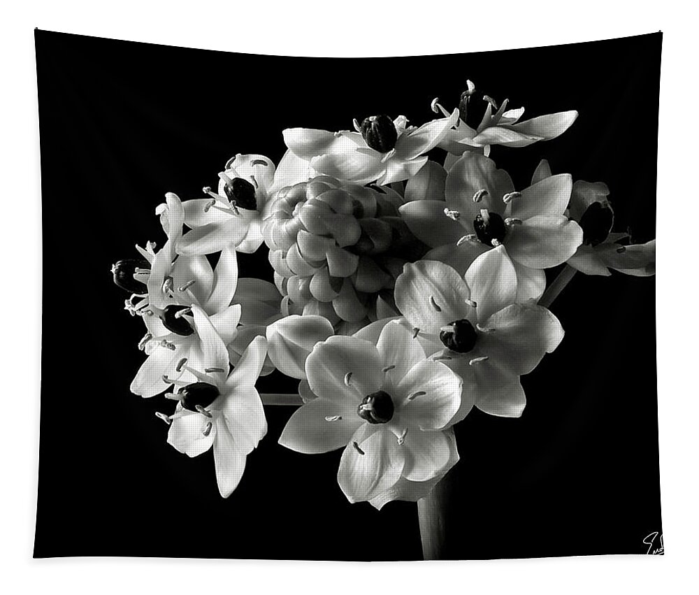 Flower Tapestry featuring the photograph Star of Bethlehem in Black and White by Endre Balogh